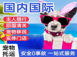 若羌楼兰航空快运国际宠物托运 【国